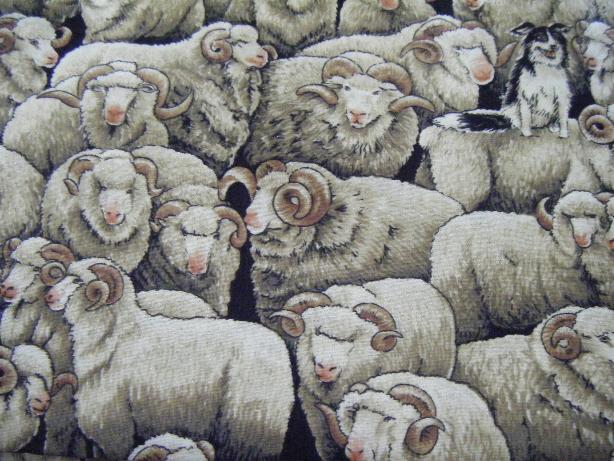 Merino Rams (Natural) With Border Collie Sheep Dog - Click Image to Close